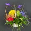 A beautiful rainbow of flowers to brighten up any space.