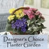 A designers choice planter garden is where our designers will choose the