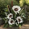 Crisp white sunflowers with striking black‑purple centers give this silk flower arrangement
