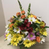 Colorful mixed bouquet with daisies, roses, and alstroemeria
