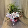 A compact, cheerful mix of tropical houseplants arranged in a petite dish&mdash;an