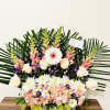 This harmonious  arrangement is to celebrate those who left indelible impressions