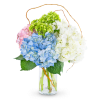 Bouquet of blue, white, pink, and green hydrangeas in a glass vase