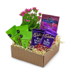 Gift box with a flowering plant and assorted chocolate and nut packages