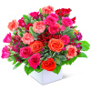 Mixed pink and orange roses with carnations in a white vase