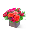 Mixed pink and orange flowers in a wooden box