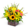 This sunny mixed flower arrangement has been chosen and designed by our