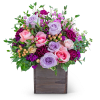 Lavender and pink roses in a wooden box with greenery