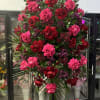Large standing spray of red and pink roses with purple accents