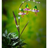 Decorative hanging flower-shaped lights on a curved metal stand