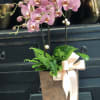 An assortment of dusty rose phalaenopsis orchids accented with ribbon and pearls