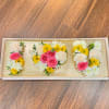Fresh spring flowers inside a long box with acrylic lid.