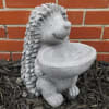 Stone hedgehog garden statue holding a shallow bowl