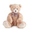 Plush teddy bear with a checkered bow on a white background