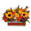 Bright mixed bouquet with sunflowers and orange roses in a rectangular box