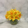 Yellow daffodils with orange centers in a clear glass vase