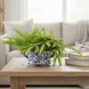 The container alone makes a desirable gift..  this  oval ceramic