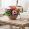 European Garden... a lush collection of blooming and green plants ....accented with