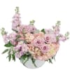 Pink roses and hydrangeas in a white vase