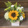 Sunflower and white rose arrangement in a square wooden container