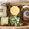 Gift basket with a succulent, candle, soap, honey, and a honeycomb-shaped item