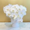 This is a luxurious, elegant, and predominantly white floral arrangement with Hydrangeas
