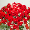 Red roses Casket 
