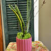 Potted snake plant in a pink ribbed planter with moss and branches