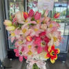 Pink and white tulips with pale blossoms in a glass vase tied with a ribbon