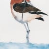 Watercolor painting of a bird standing on one leg