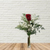 Single red rose in a clear vase with white filler flowers