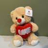 Plush teddy bear holding a red heart with the word LOVE