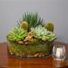 Succulent and cactus arrangement in a low glass bowl with a candle beside it