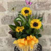 Bring the outdoors in with this lush green potted garden. Arranged in