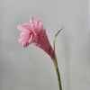 Single pink flower on a long stem in a clear vase