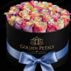Round box of multicolored roses with a blue ribbon bow