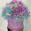 Multicolored clouds of gypsophila flowers in our Signature Box