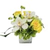 Low arrangement of white orchids and yellow roses in a clear glass cube vase