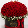 50 red roses 