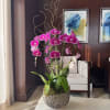 Pink orchids arranged in a rustic planter on a table
