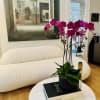 Pink orchids in a black pot on a white table