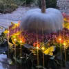 A purple Pumpkin with fresh flowers is an excellent present