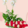 White orchids rise above red and white roses in a white box arrangement.