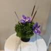 Small green floral arrangement with purple orchid blooms in a black pot