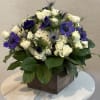 Discover the beauty of our Midnight Elegance Garden Box, a sophisticated floral