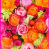 Bright mixed bouquet with orange, pink, and yellow flowers