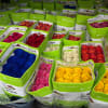 A vivid wall of color-25 unprocessed roses arranged in bright green retail