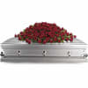 Red rose casket spray on a silver casket