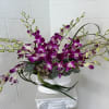 A graceful cascade of purple dendrobium orchids takes center stage in this