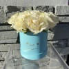 White roses arranged in a light blue round box
